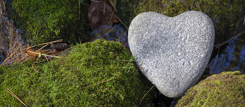 heart shaped rock